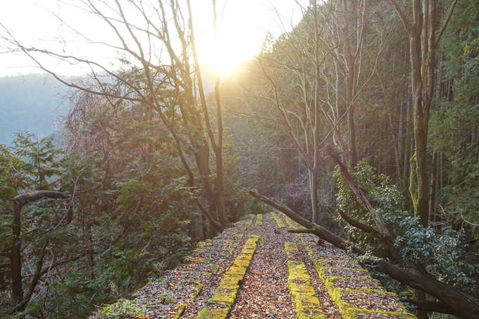 愛宕山鉄道_ケーブルカー廃線跡　No42