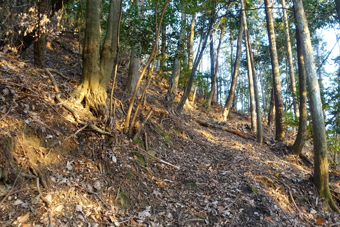 愛宕山鉄道_ケーブルカー廃線跡　No45