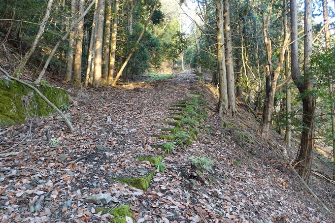 愛宕山鉄道_ケーブルカー廃線跡　No52