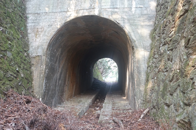 愛宕山鉄道_ケーブルカー廃線跡　No77