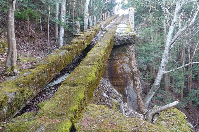 愛宕山鉄道_ケーブルカー廃線跡　No79