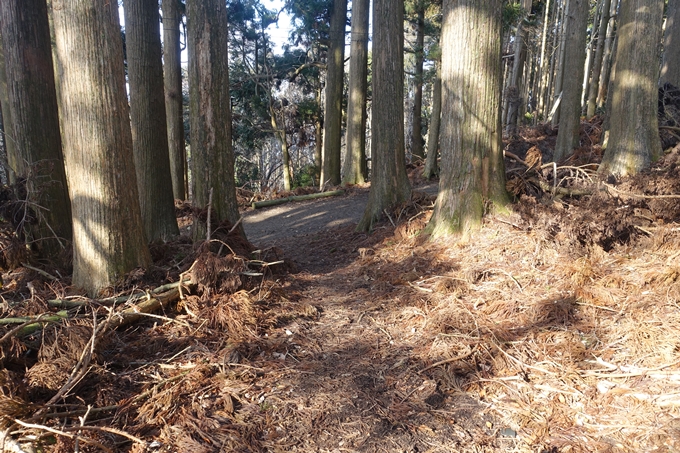 愛宕山鉄道_愛宕神社　No5