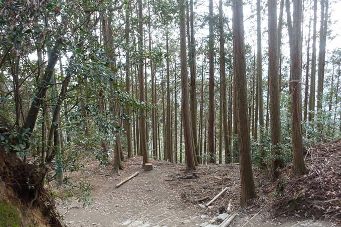 愛宕山鉄道_愛宕神社　No101