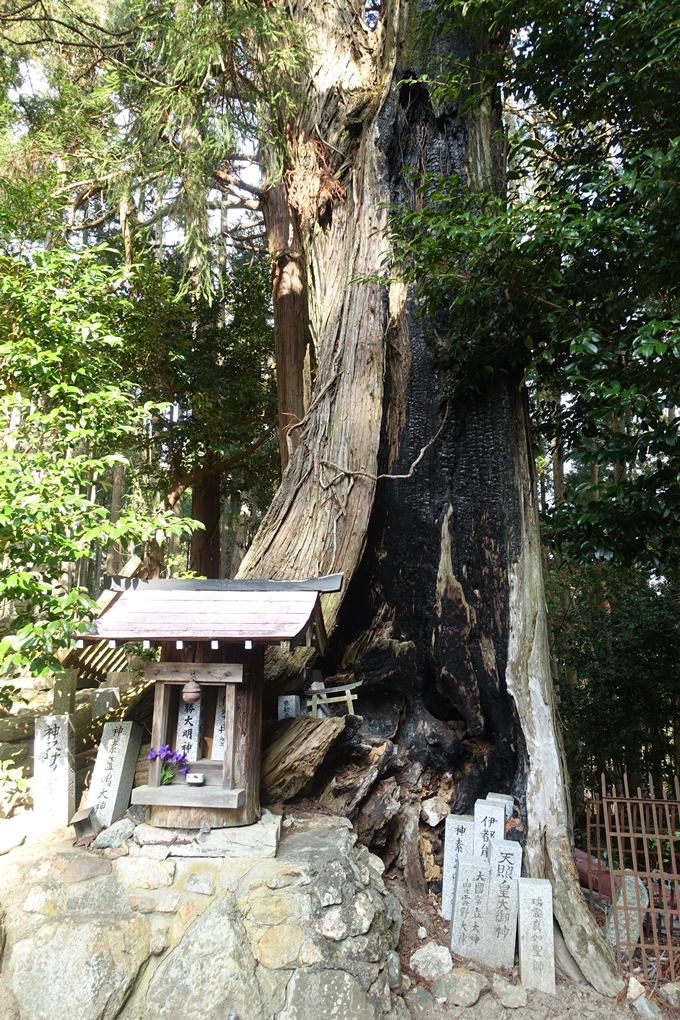 愛宕山鉄道_愛宕神社　No110