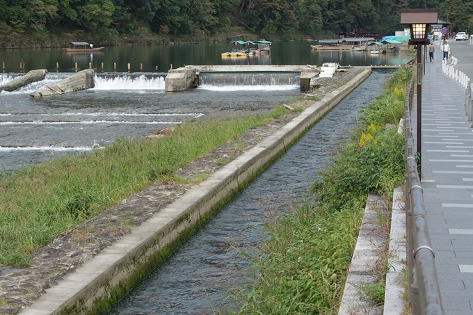 西高瀬川起点　No7