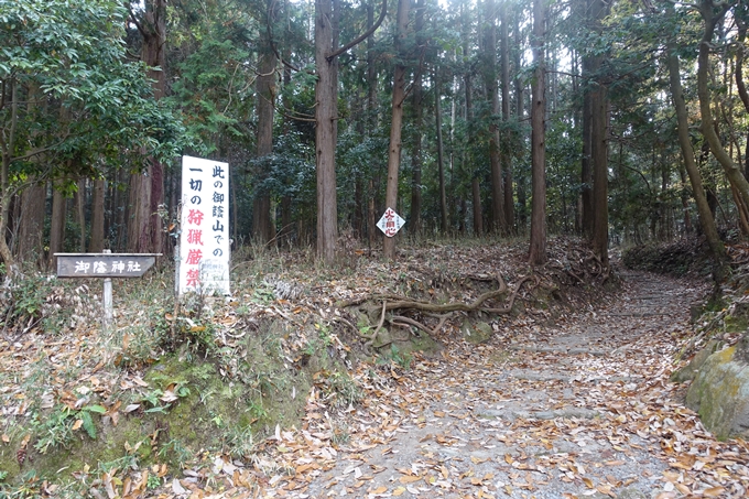 御蔭神社　No4