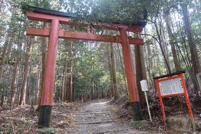 御蔭神社　No5