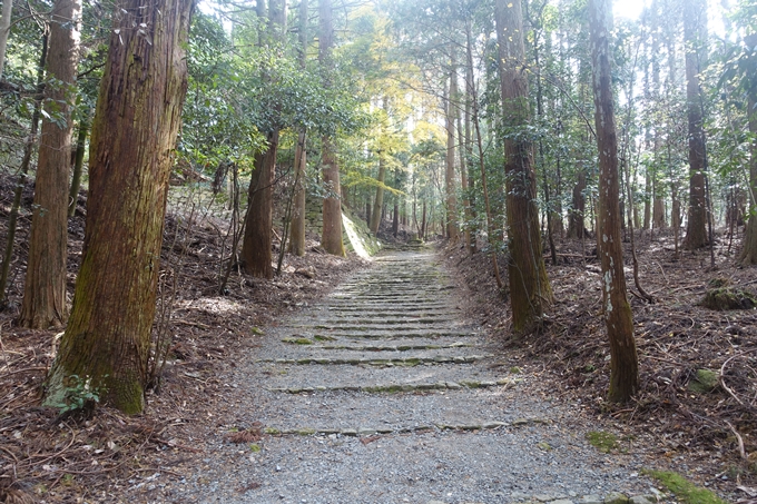 御蔭神社　No7