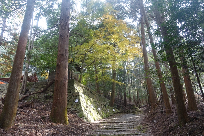 御蔭神社　No8