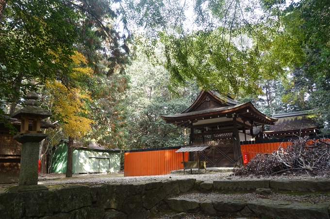 御蔭神社　No10