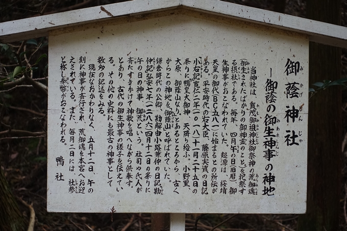 御蔭神社　No11