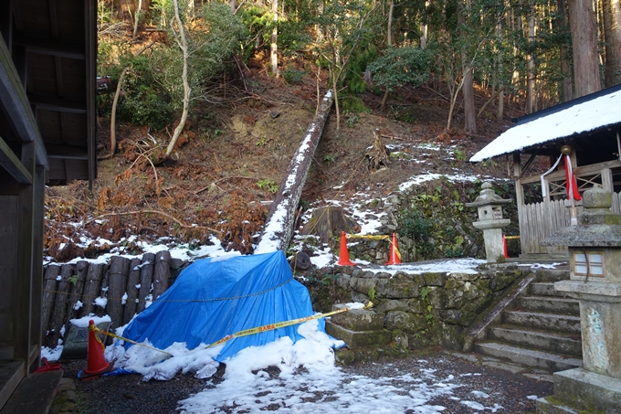 守谷神社・冨士神社　No21