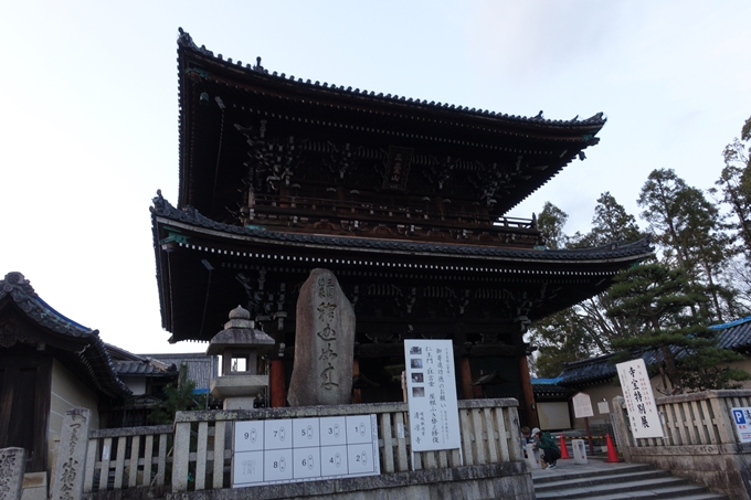 京都桜速報2019_05　No2