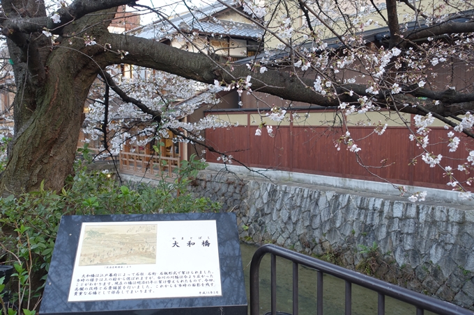 京都桜速報2019_06　No13