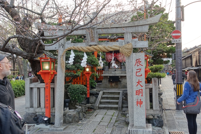 京都桜速報2019_06　No20