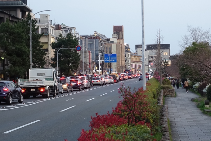 京都桜速報2019_06　No27