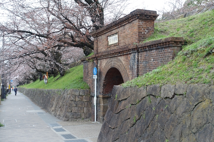 京都桜速報2019_07　No3