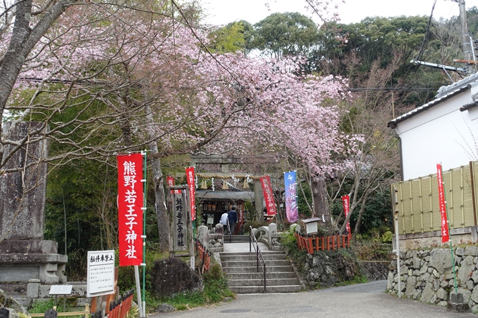 京都桜速報2019_11　No2