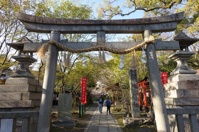 京都桜速報2019_38　No18