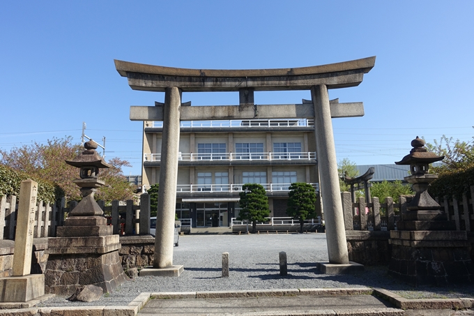 六孫王神社_桜_2019　No2