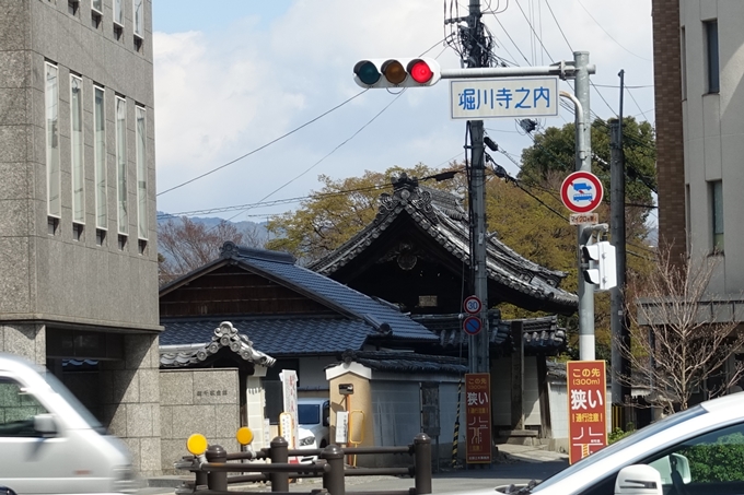 京都桜速報2019_19　No19