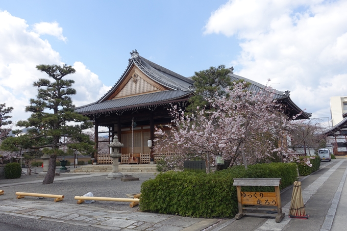 京都桜速報2019_20　No4