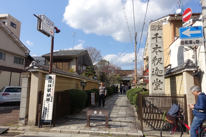 京都桜速報2019_21　No16