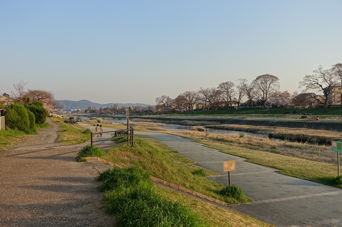 京都桜速報2019_22　No2