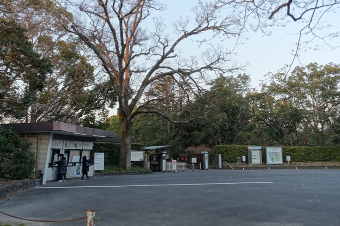 京都桜速報2019_23　No2