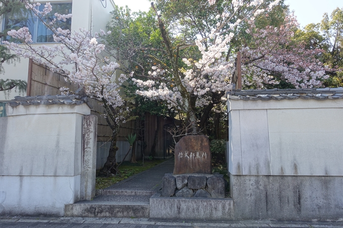 京都桜速報2019_32　No5