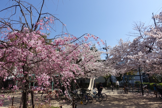 旧西陣小学校　No8