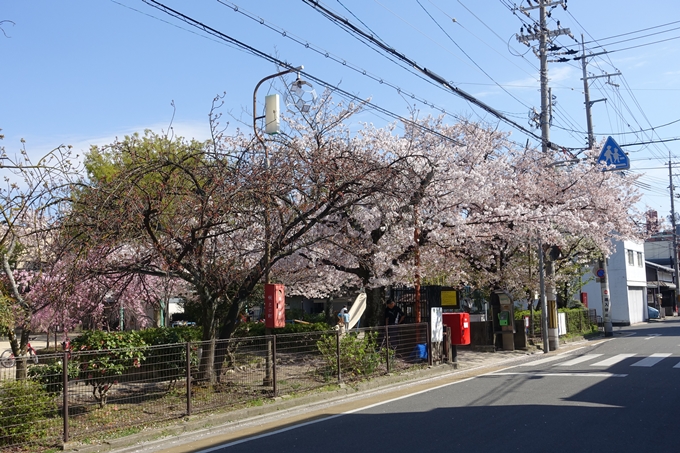 旧西陣小学校　No6