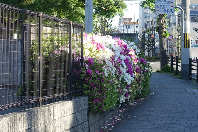 錦林車庫_つつじ2019　No2