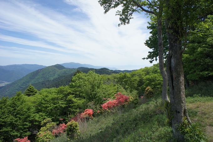 つつじが丘_比叡山　No25