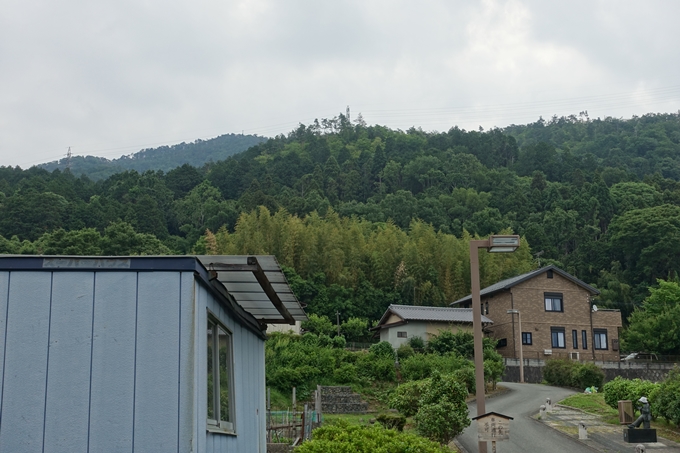 金毘羅神社・牛松山　No6