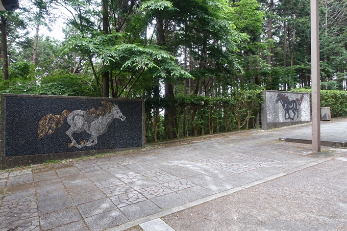 金毘羅神社・牛松山　No13