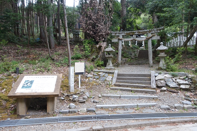 金毘羅神社・牛松山　No14