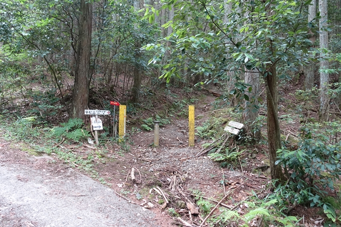 金毘羅神社・牛松山　No18