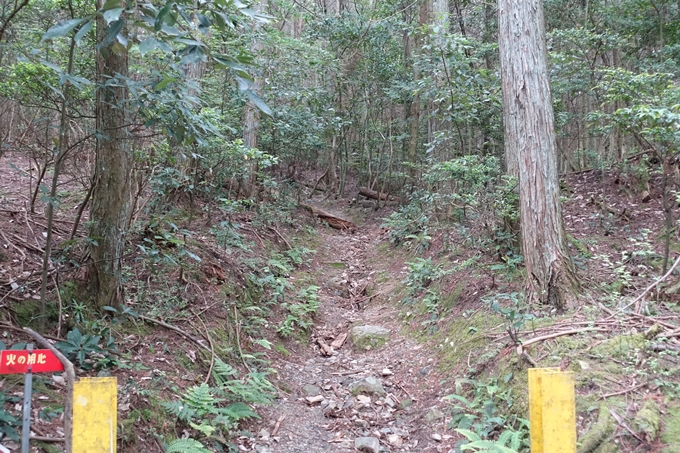 金毘羅神社・牛松山　No19