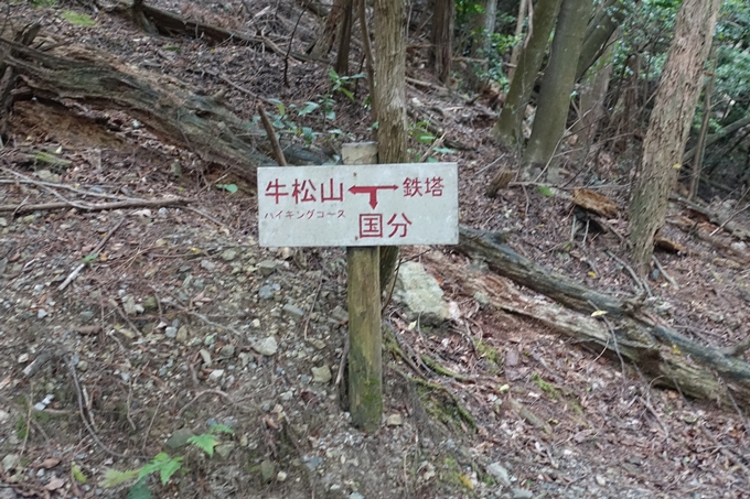 金毘羅神社・牛松山　No21