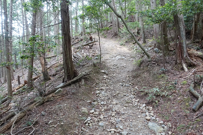 金毘羅神社・牛松山　No22