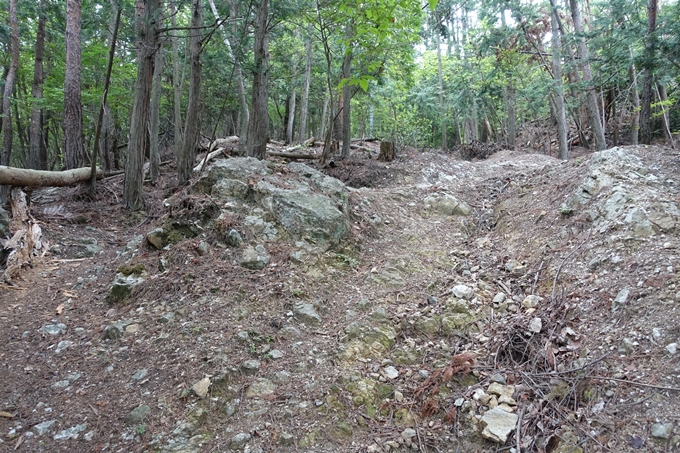 金毘羅神社・牛松山　No26