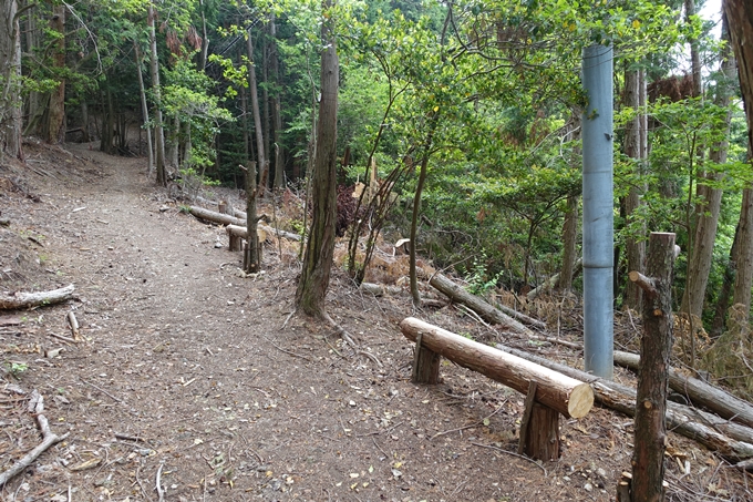 金毘羅神社・牛松山　No29