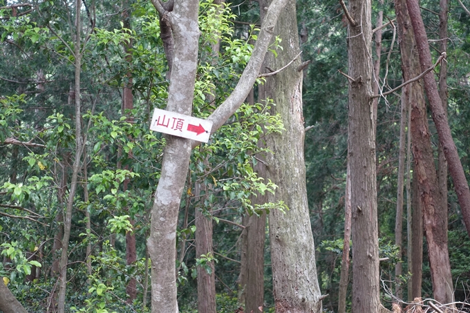 金毘羅神社・牛松山　No30