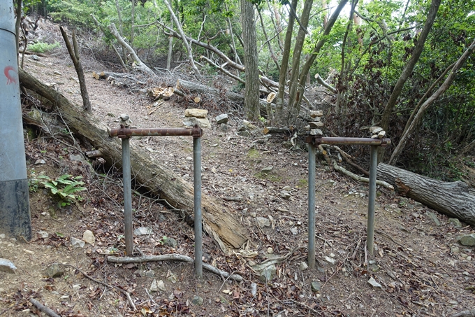 金毘羅神社・牛松山　No31