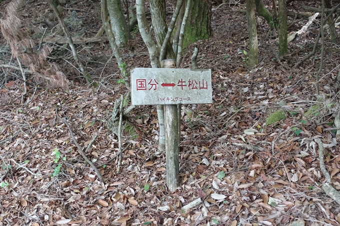 金毘羅神社・牛松山　No34