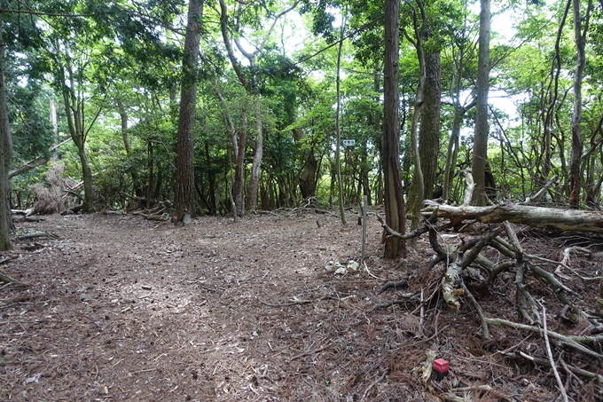 金毘羅神社・牛松山　No38