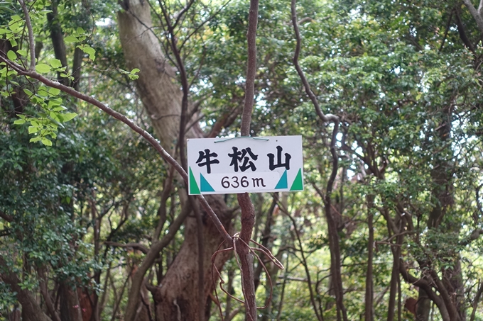 金毘羅神社・牛松山　No39