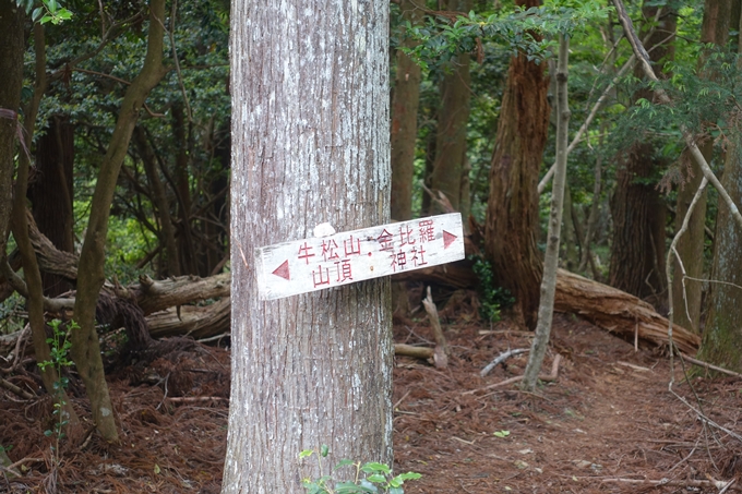 金毘羅神社・牛松山　No43