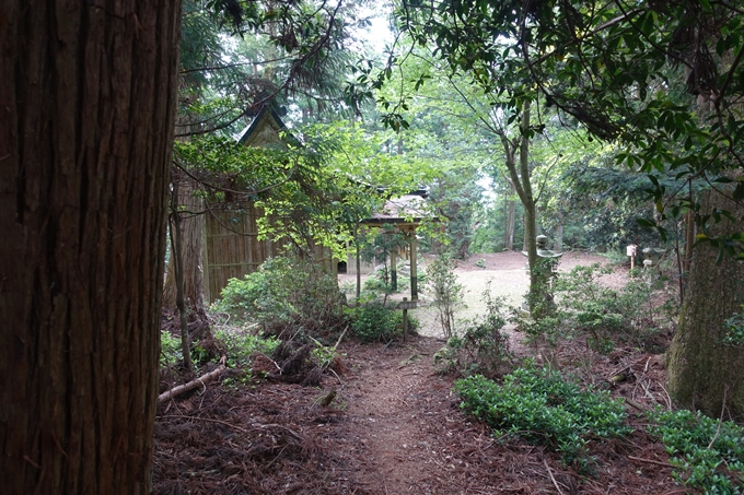 金毘羅神社・牛松山　No44